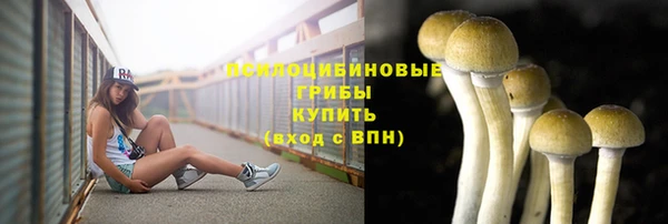 а пвп мука Арсеньев